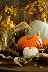 Thanksgiving_themed_pumpkins_and_corn